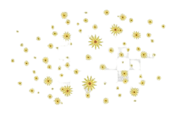flowers spring - 無料png