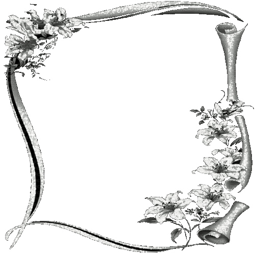 black white milla1959 - Free animated GIF