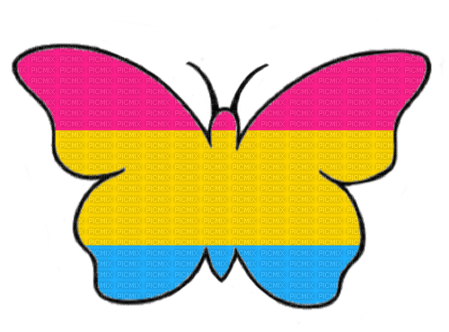 Pansexual butterfly - Free PNG