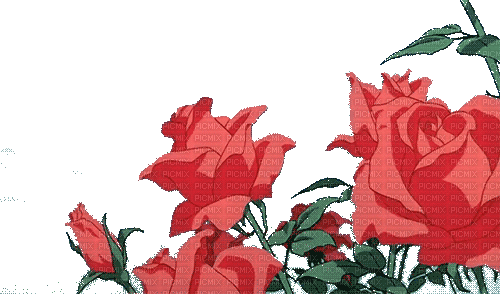 цветы - Free animated GIF