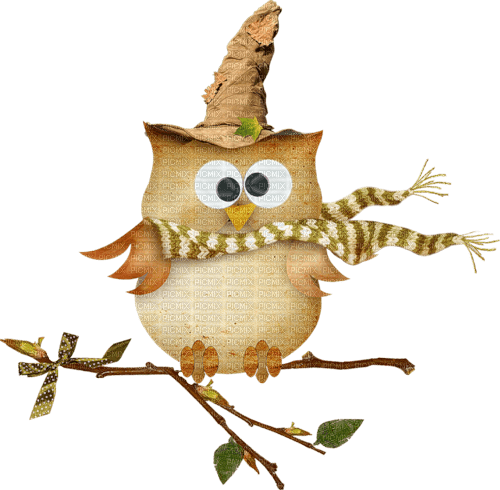 halloween owl eule bird oiseaux - bezmaksas png