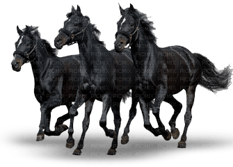 black trio horses - bezmaksas png