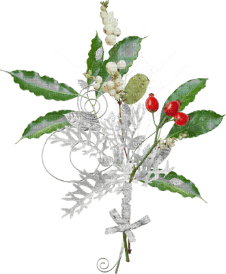 christmas-flower-deco-minou52 - png ฟรี