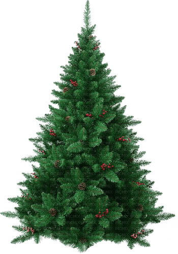 ✶ Christmas Tree {by Merishy} ✶ - png ฟรี