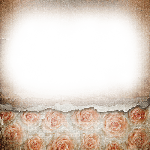 dolceluna torn paper vintage roses pink frame - 免费PNG