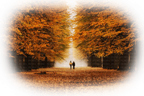autumn - bezmaksas png