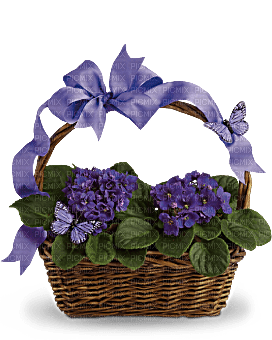 Kaz_Creations  Flowers Vase Plant Basket - gratis png