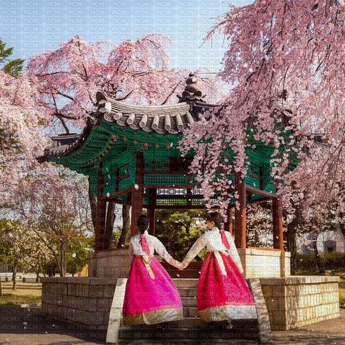 Korea spring - nemokama png