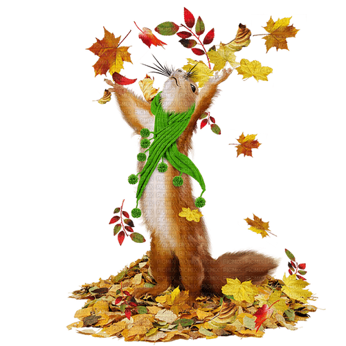 Autumn. Squirrel. Leila - PNG gratuit