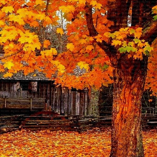 autumn  background nataliplus - png ฟรี
