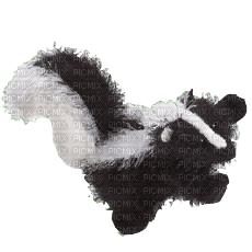 Webkinz Skunk Plush - gratis png