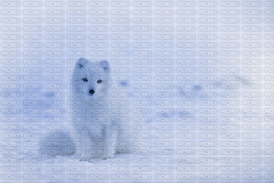 hiver - Gratis animerad GIF