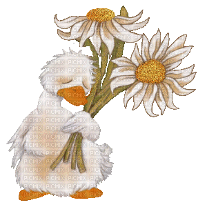 Flowers white bp - Бесплатни анимирани ГИФ