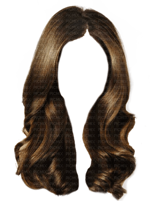 hair, wig bp - png gratis