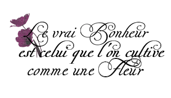 loly33 texte - δωρεάν png