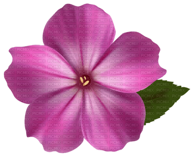 Kaz_Creations Flowers Flower - ingyenes png