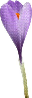 Kaz_Creations Deco Flowers Flower Purple - PNG gratuit