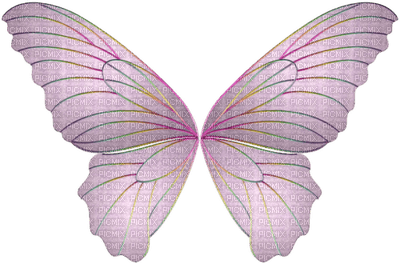 aile papillon - 免费PNG