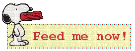 feed me now - 無料のアニメーション GIF