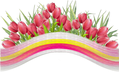 tulipe.Cheyenne63 - darmowe png