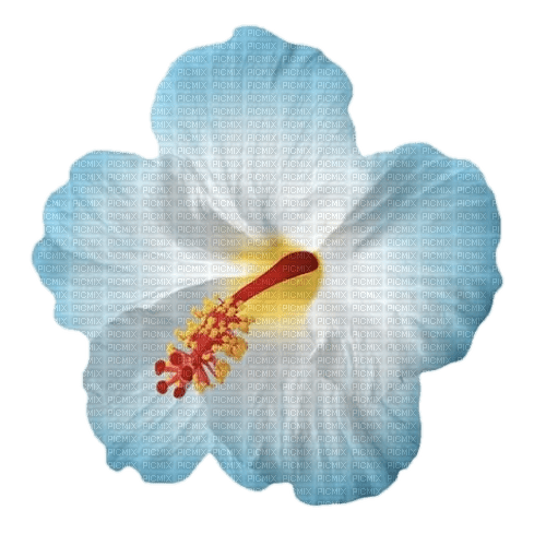 hibiscus - бесплатно png
