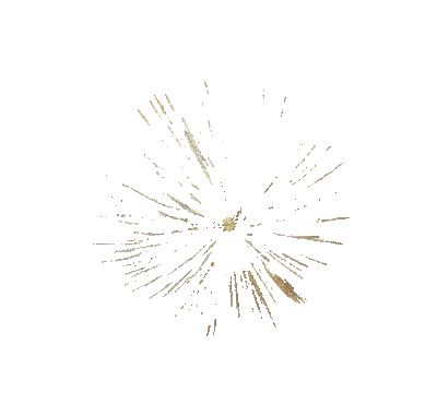 Fireworks - GIF animate gratis