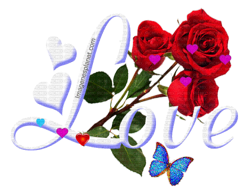 Love and red roses-rosas rojas-rosas vermelhas - Besplatni animirani GIF