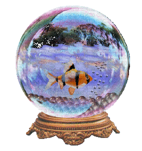 Crystal Ball Fish Tank - Ingyenes animált GIF