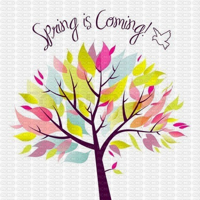 Spring is coming - bezmaksas png
