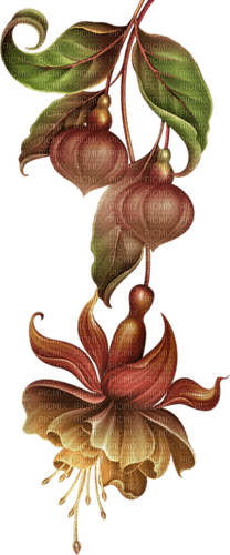 brown flower by nataliplus - png gratuito