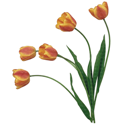 Kaz_Creations Deco Flowers Colours - png gratuito