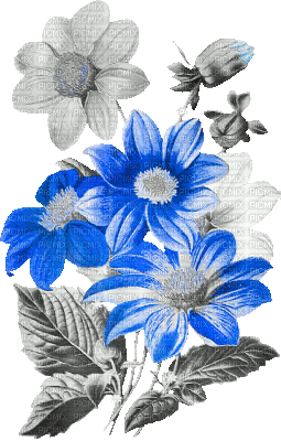 soave deco flowers branch animated vintage black - Безплатен анимиран GIF