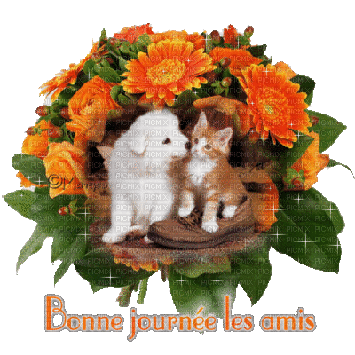 Bonne Journée Les Ami(es)♥♥♥ - 免费动画 GIF