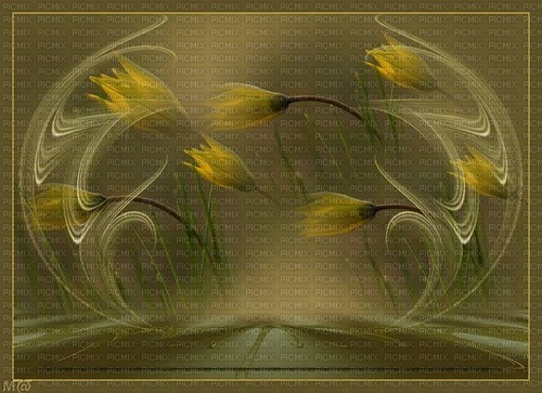 bg-brun-gula blommor--background--yellow flowers - png ฟรี