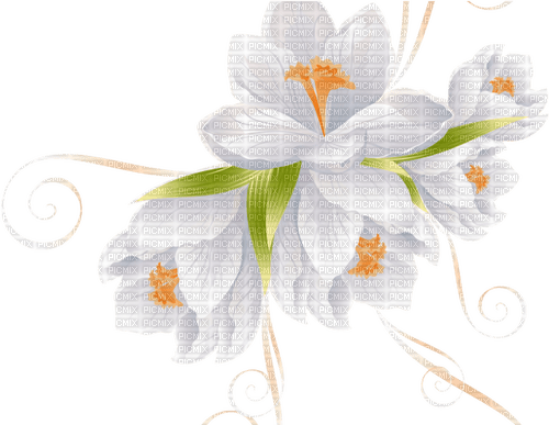 Crocus Flower - безплатен png