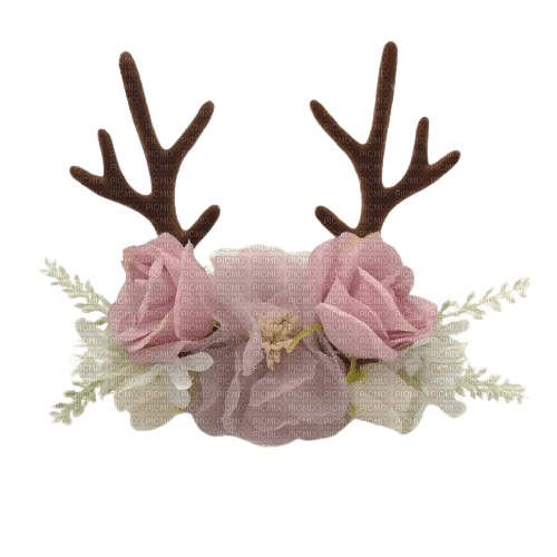 Kaz_Creations Reindeer-Antler-Floral-Headdress - zadarmo png