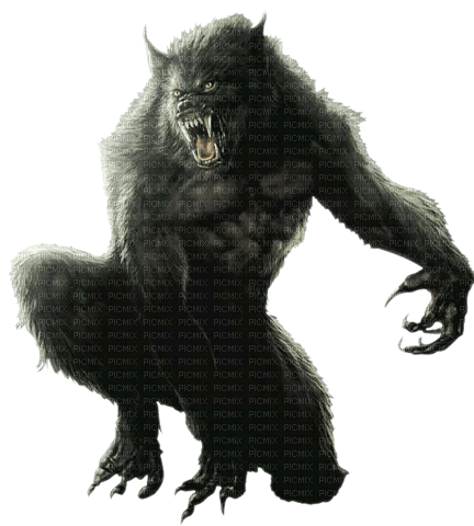 werewolf - zdarma png
