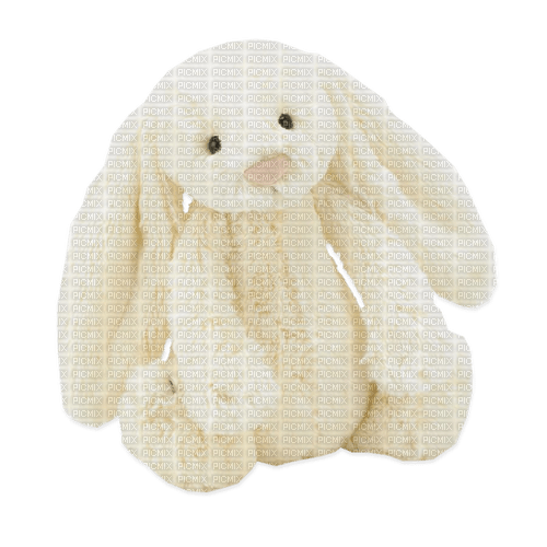 Plush Bunny - PNG gratuit
