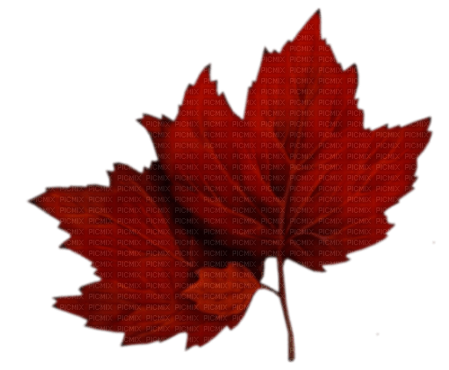 red leaves Bb2 - png gratuito