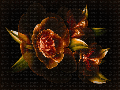 ani--blomma--flowers - Бесплатный анимированный гифка