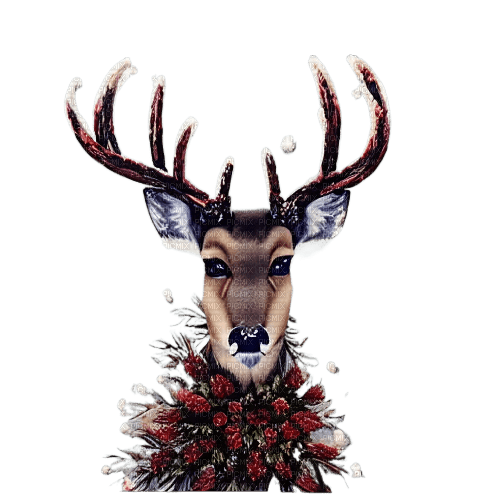 kikkapink winter deer animal - png gratuito