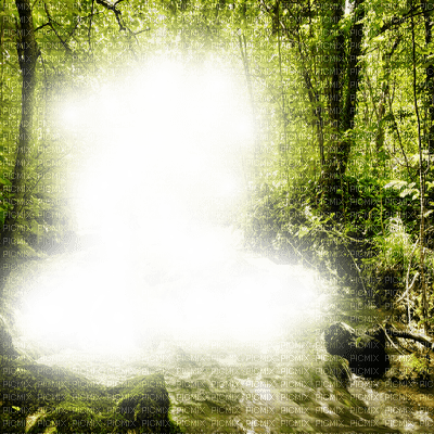 Frame Forest - δωρεάν png