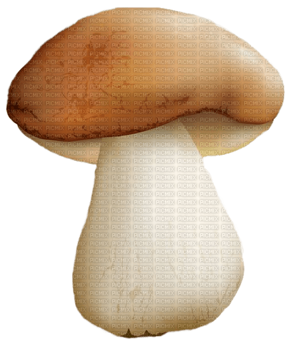 Pilz, Herbst, mushroom - png gratis