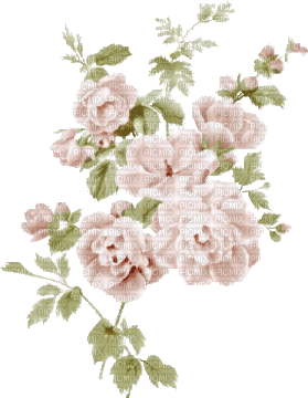 white flowers vintage - GIF animé gratuit