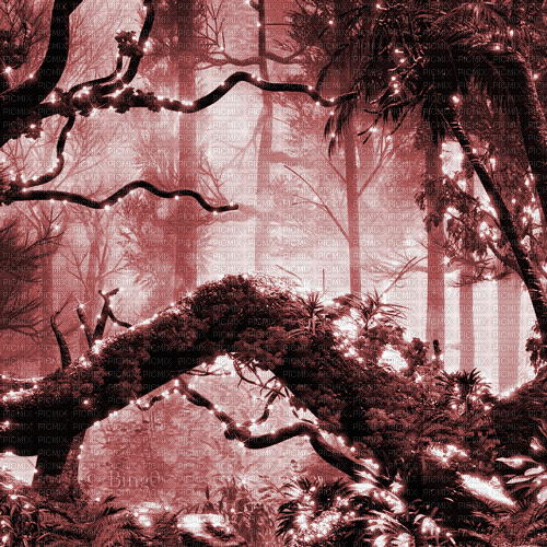 Y.A.M._Fantasy forest background red - GIF animado grátis