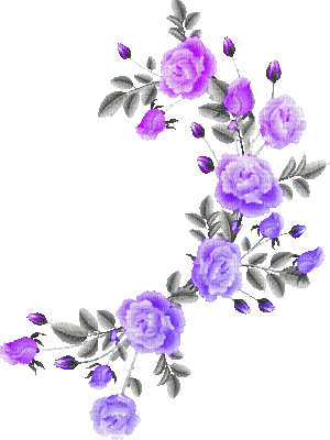 soave deco flowers rose animated branch black - GIF animé gratuit
