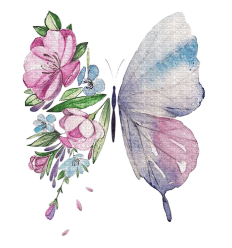 papillon.cheyenne63 - zdarma png