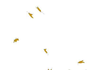 falling yellow leaves - Бесплатный анимированный гифка