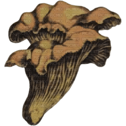 Mushroom - 免费PNG