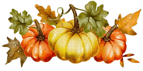 Pumkin - Autumn - darmowe png